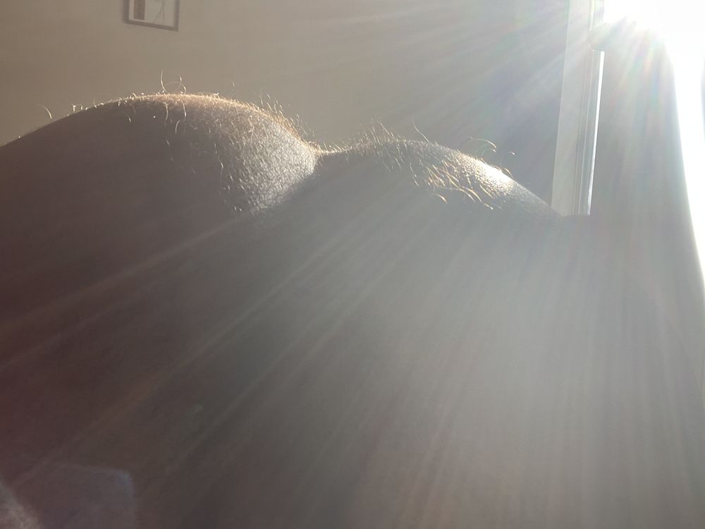spiritboy890 OnlyFans profile picture