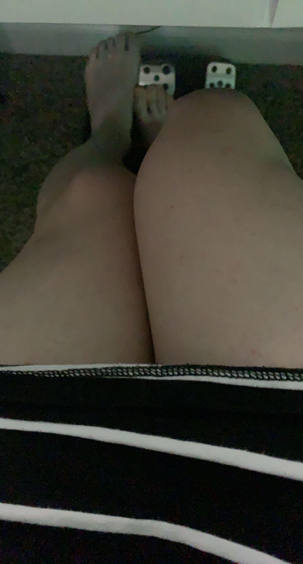naturefreek OnlyFans profile picture