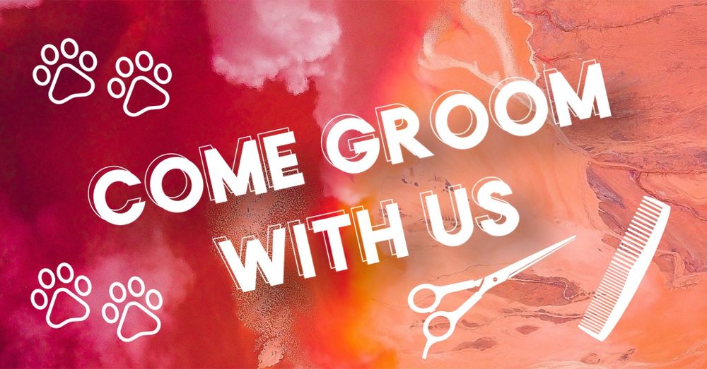 comegroomwithus OnlyFans profile picture