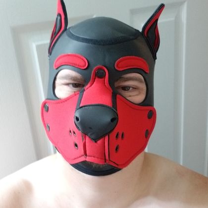 gideongeekypup OnlyFans picture