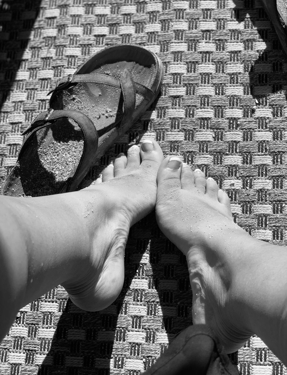 alexleefootsies OnlyFans profile picture