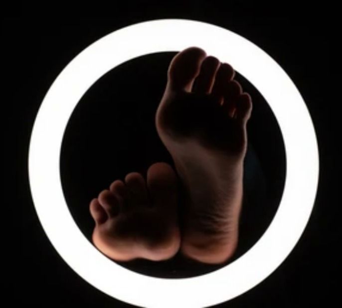 charmbox OnlyFans profile picture