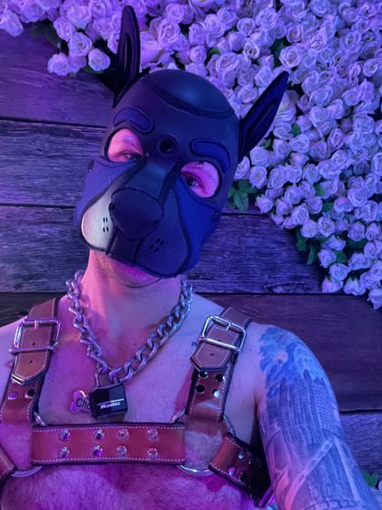 pupchord OnlyFans picture