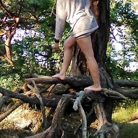 erd_antenne OnlyFans profile picture