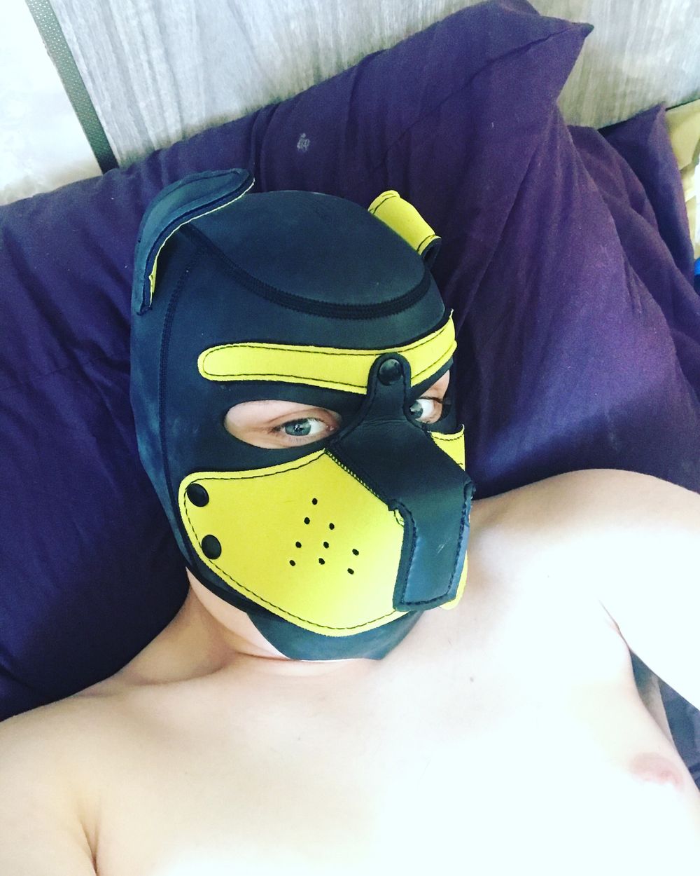 charlesthebeagle OnlyFans profile picture