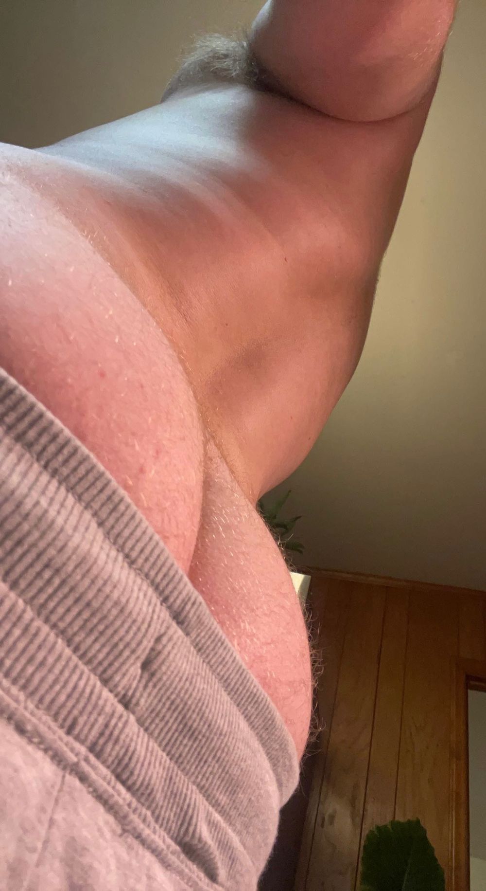 ginger_prince2 OnlyFans profile picture