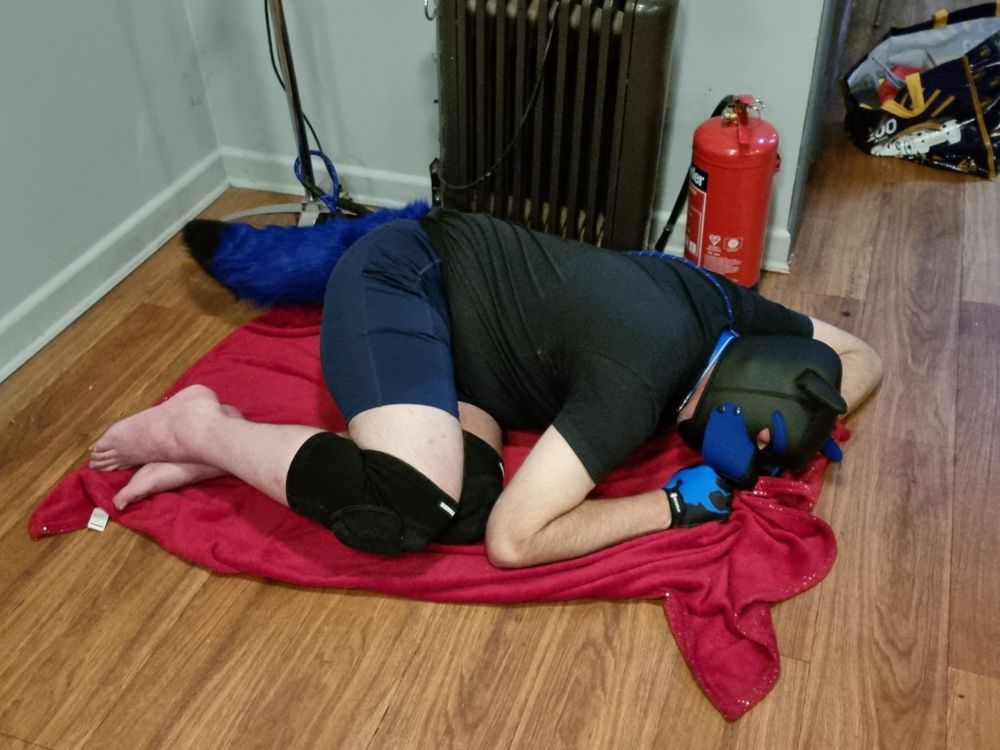 no1_pup OnlyFans profile picture