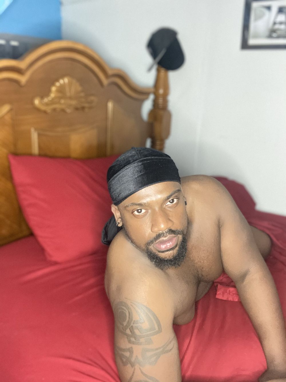 kingfreax OnlyFans profile picture
