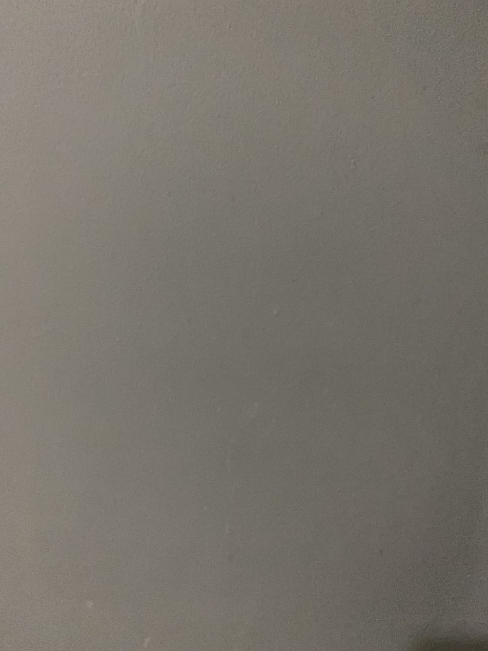 qforh OnlyFans profile picture