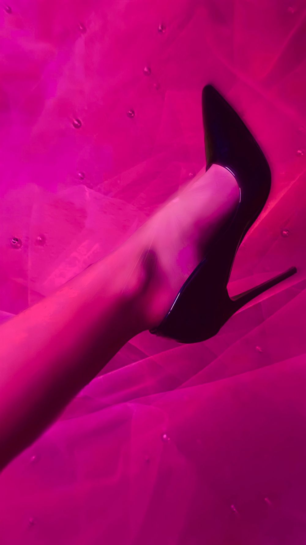 miss.borntorule OnlyFans profile picture