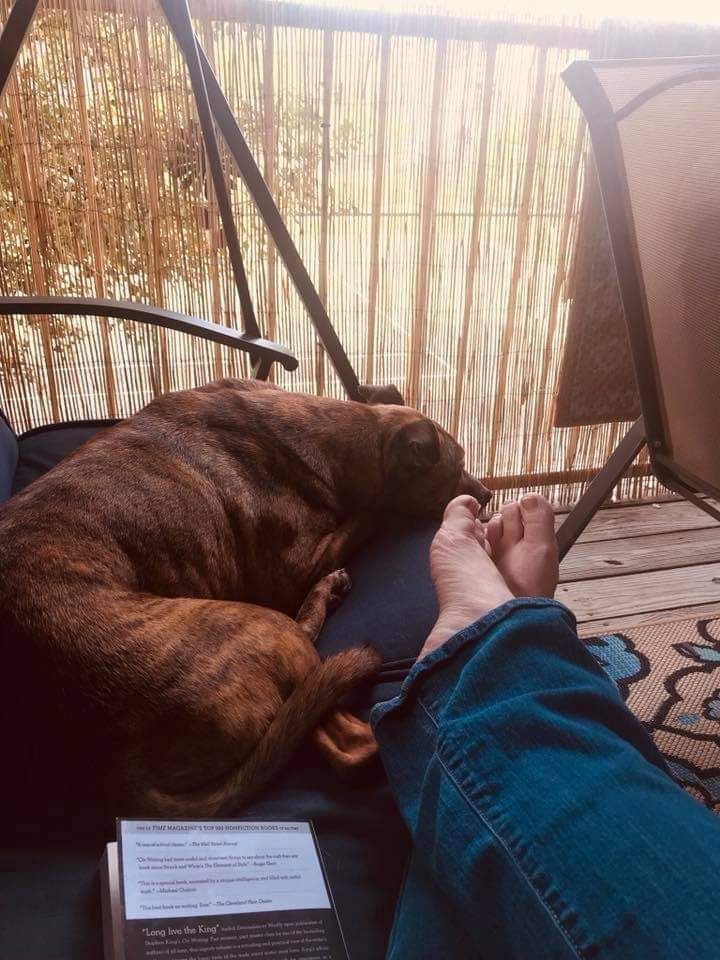 farmgirl82 OnlyFans profile picture