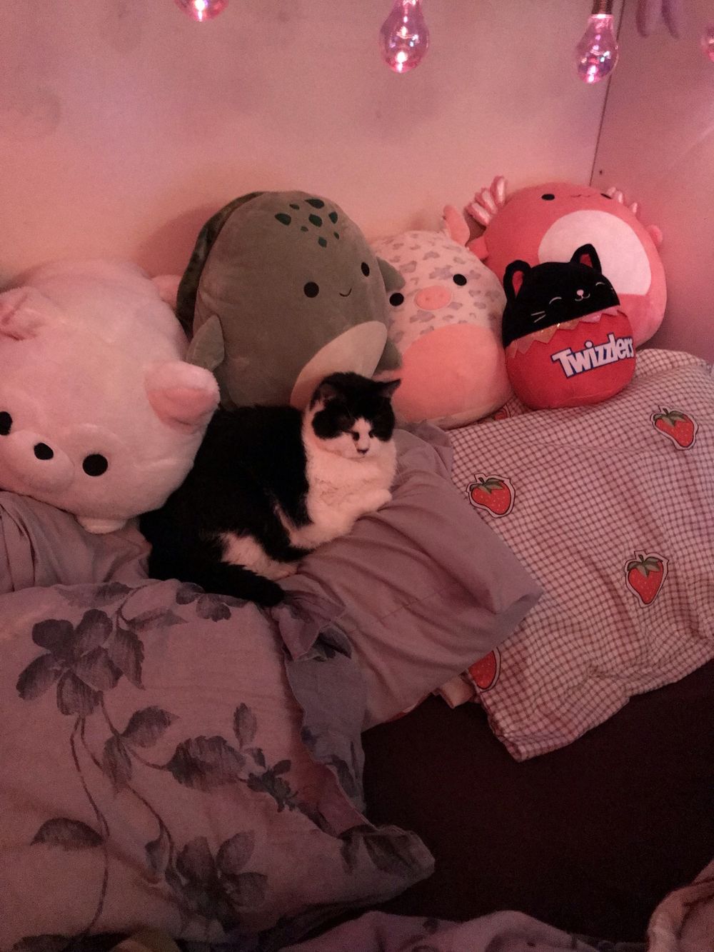chubbyxusagi OnlyFans profile picture