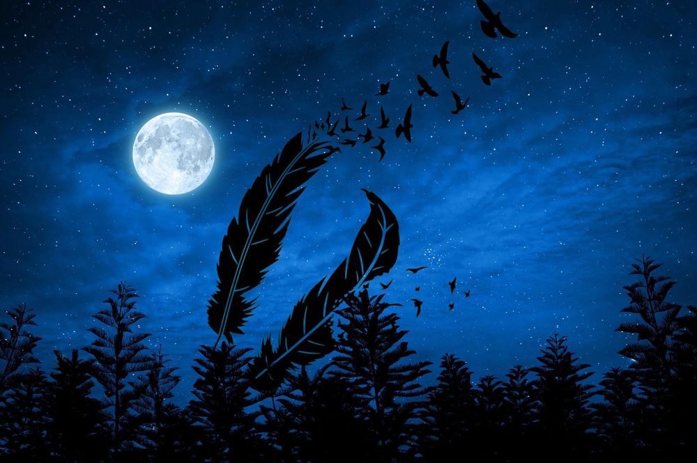 lunafeather OnlyFans profile picture