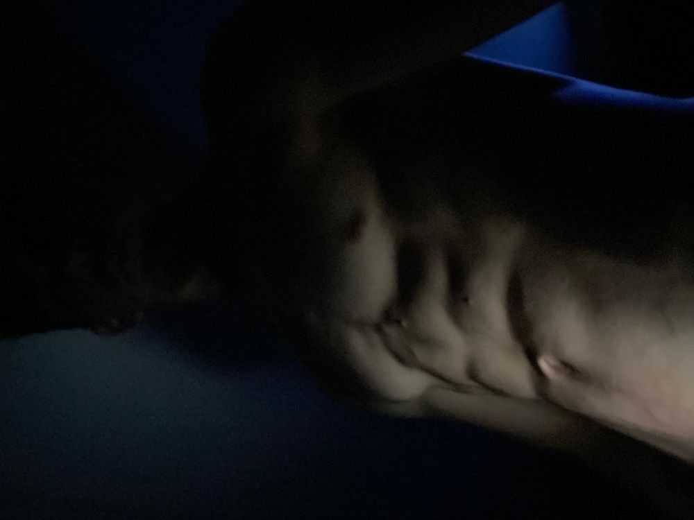 thebunnythumper OnlyFans profile picture