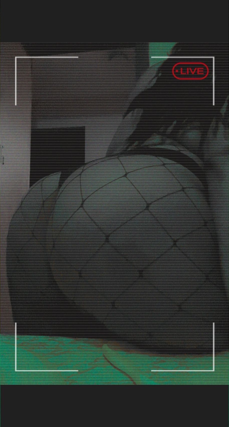 rarabrazy OnlyFans profile picture