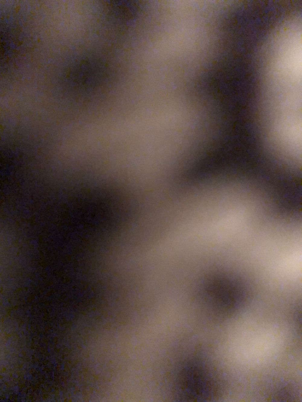brigitheee OnlyFans profile picture