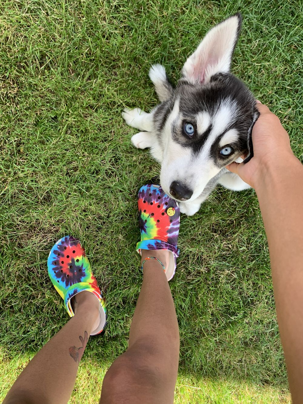 forefeet OnlyFans profile picture