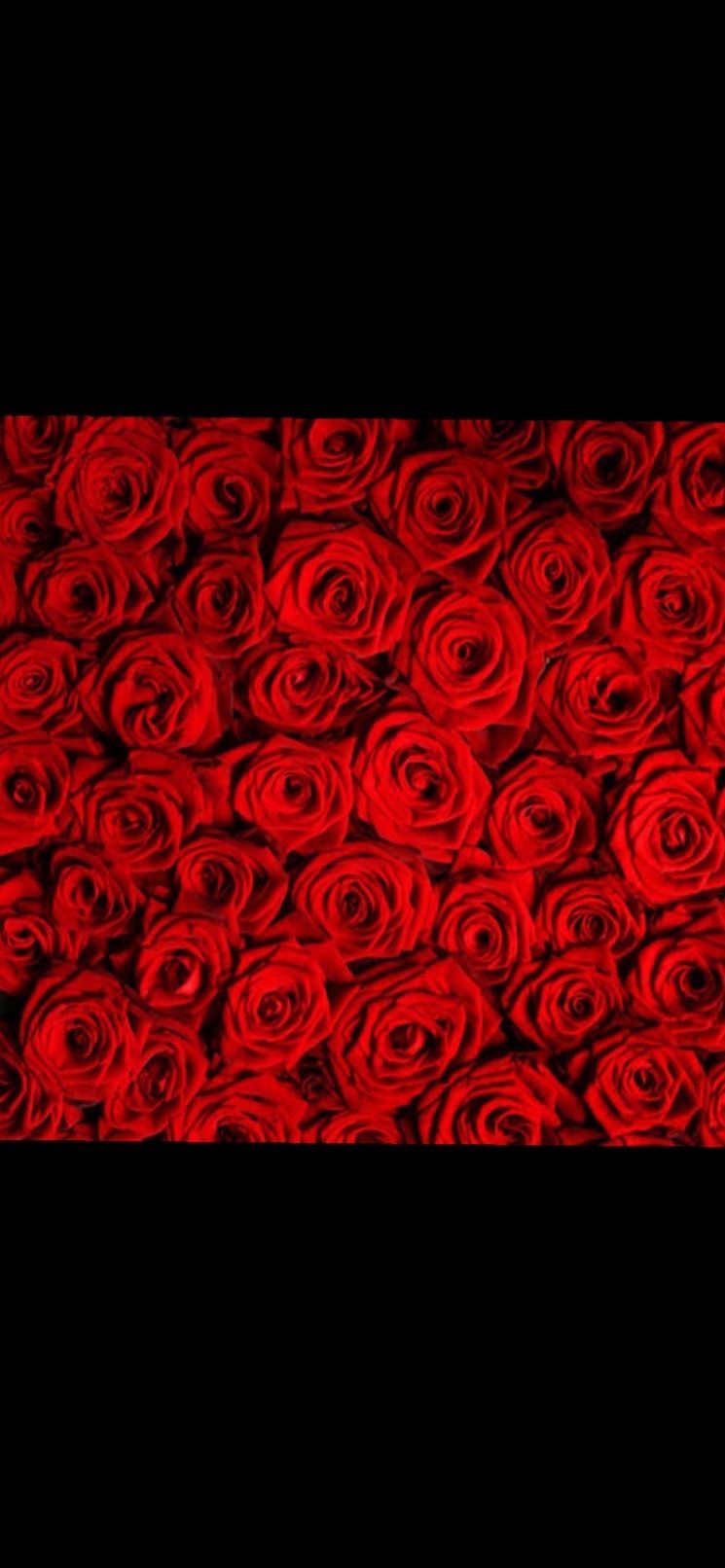 dawnieroseee OnlyFans profile picture