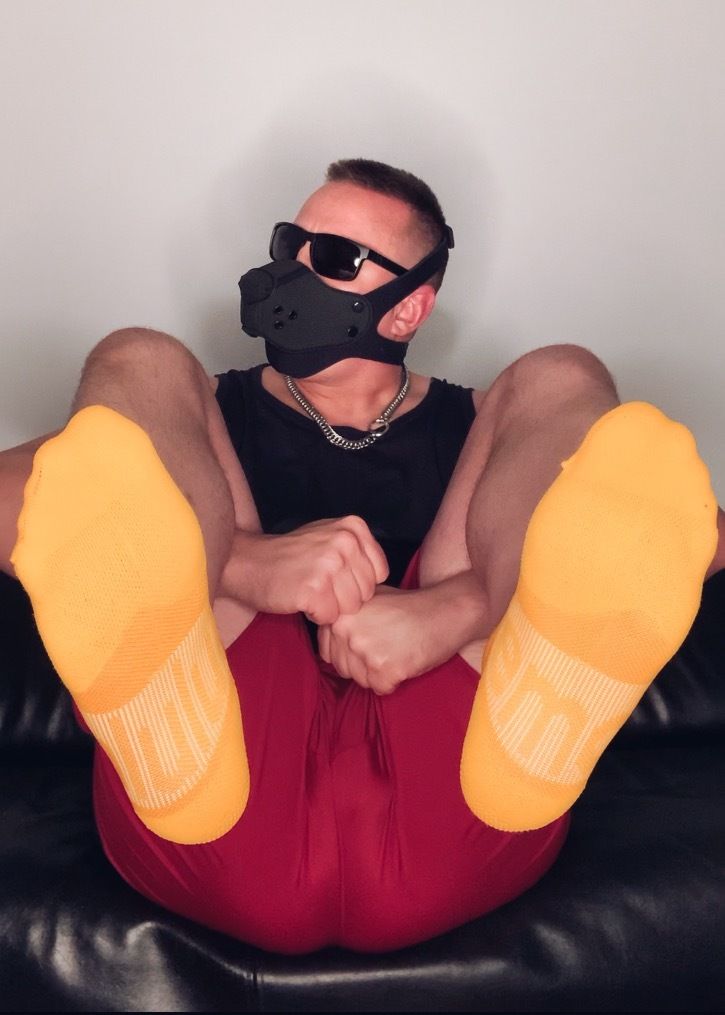 hawkshep OnlyFans profile picture