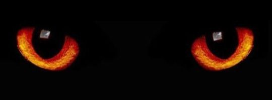 akimfaceless OnlyFans profile picture