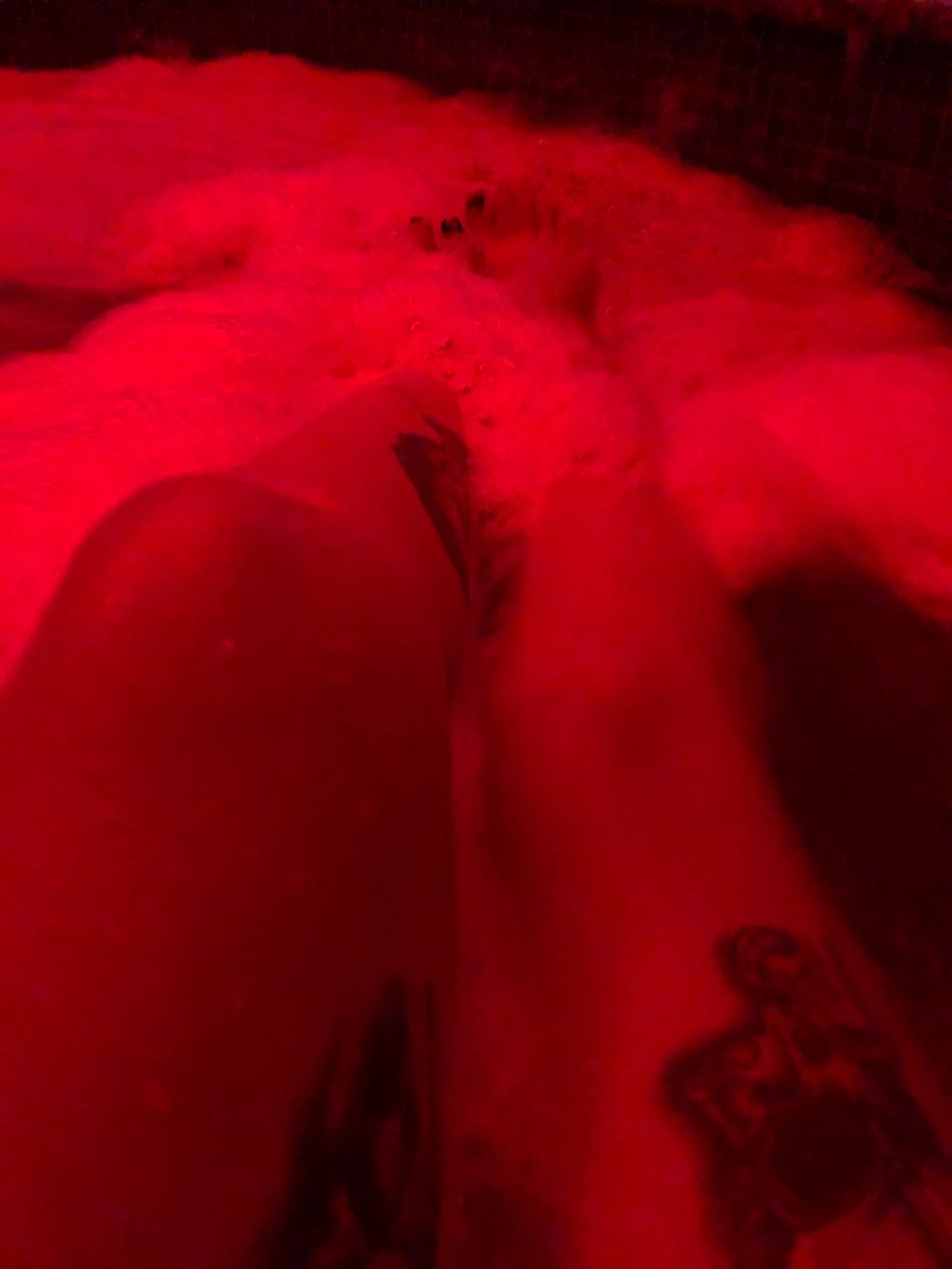 u269993199 OnlyFans profile picture