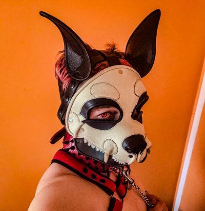 ziggypup95 OnlyFans picture