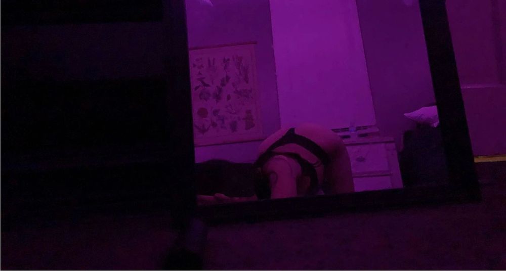 lovleylittlerose OnlyFans profile picture