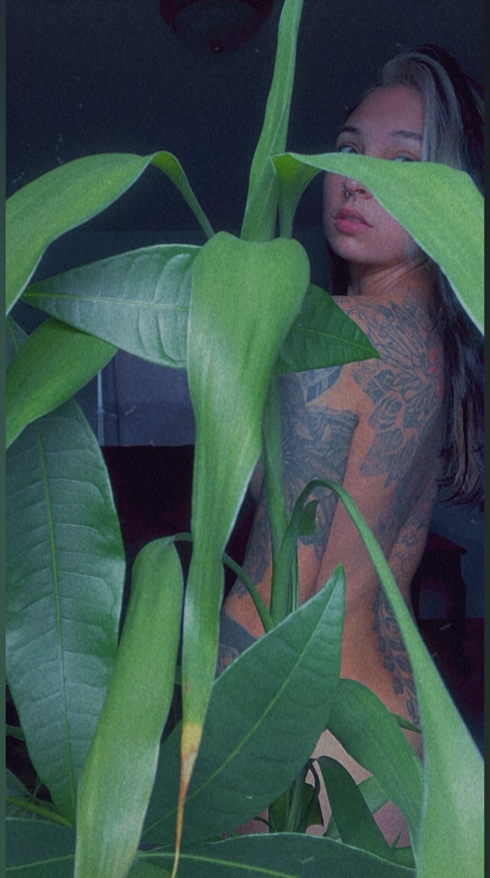 spicybajablasted OnlyFans profile picture