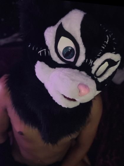 kittenquinn94 OnlyFans picture