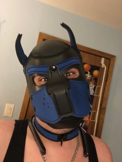 pup_sparkey OnlyFans picture