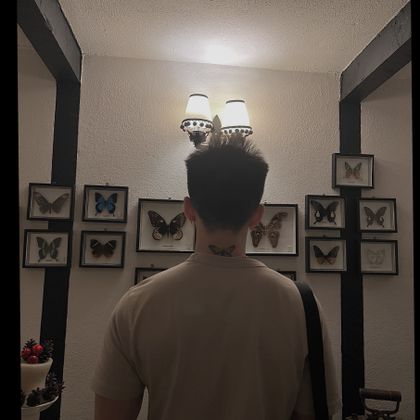 flynntheboywithbutterfly OnlyFans picture