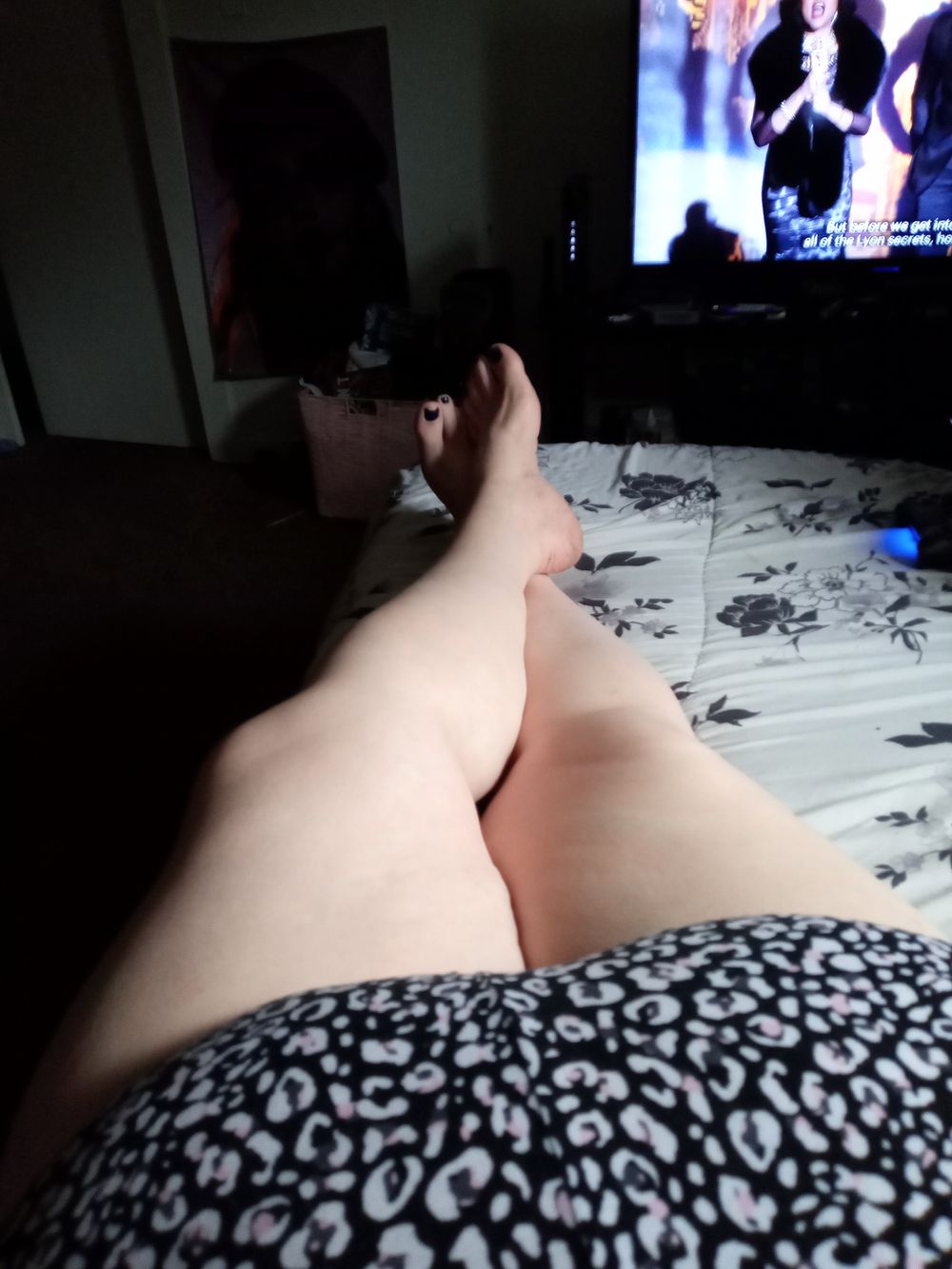 sexykitty1977 OnlyFans profile picture