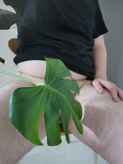 redhotchilidic OnlyFans picture