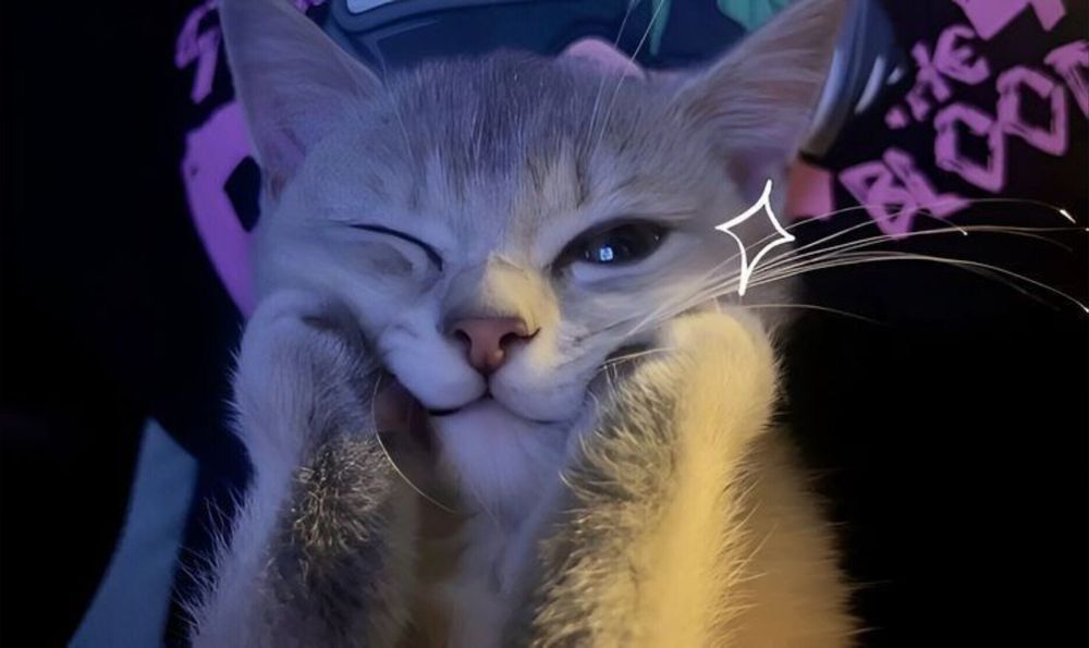 kattmacek OnlyFans profile picture