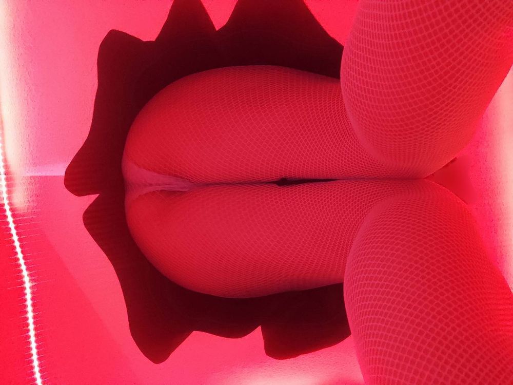 onlymaid OnlyFans profile picture