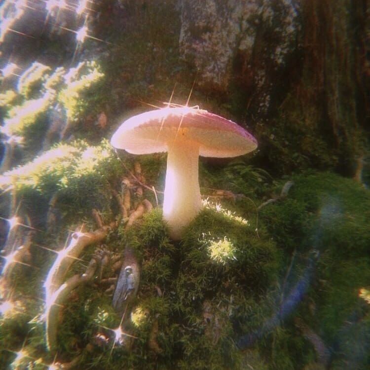 jxvgs OnlyFans profile picture