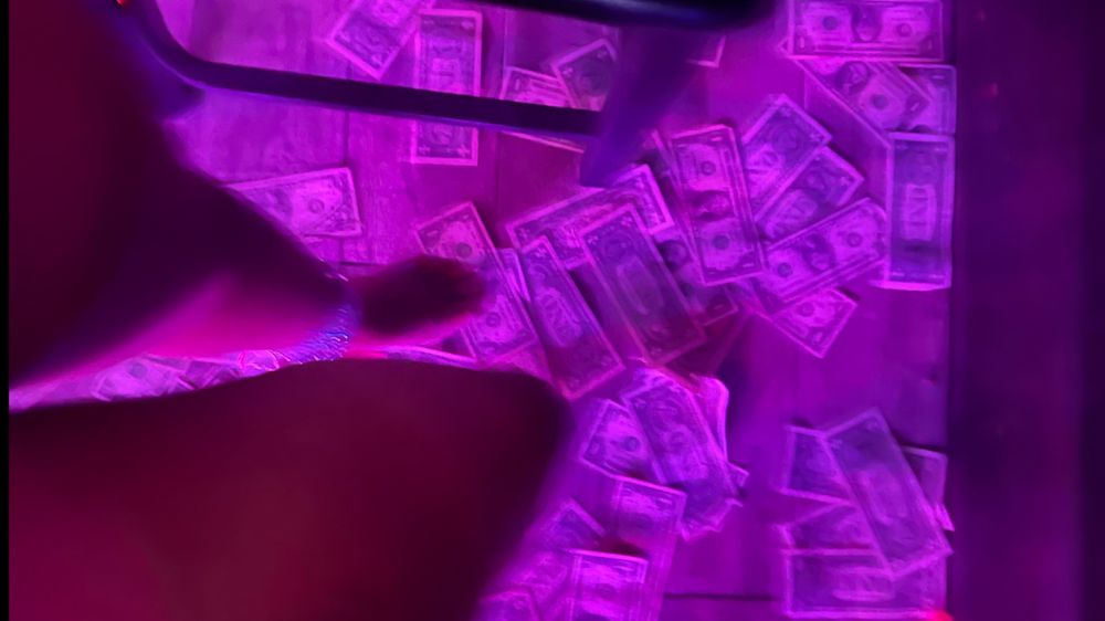 pimpxdemon OnlyFans profile picture