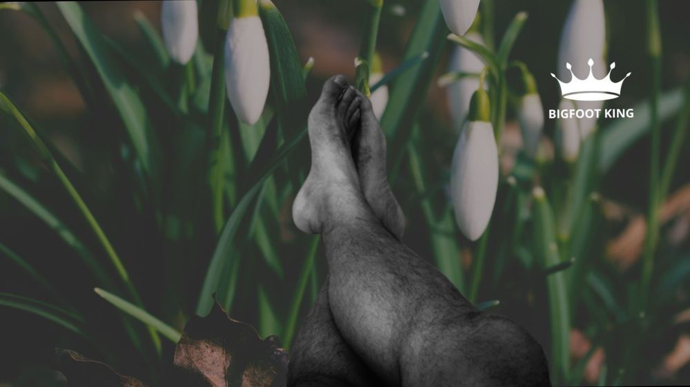 rrfeetking OnlyFans profile picture