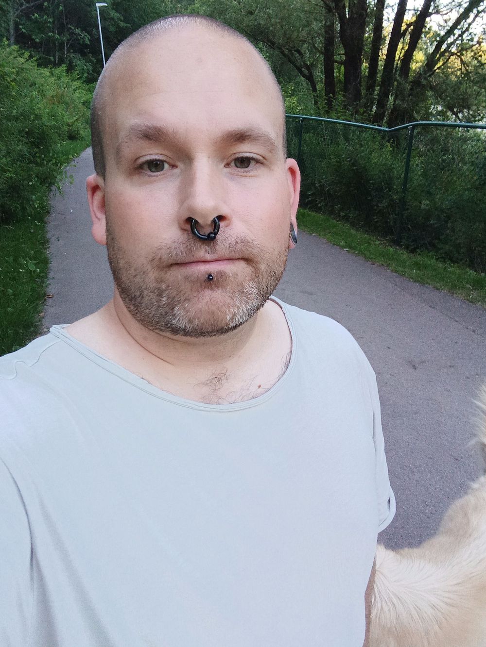 piercedswedishcock OnlyFans profile picture