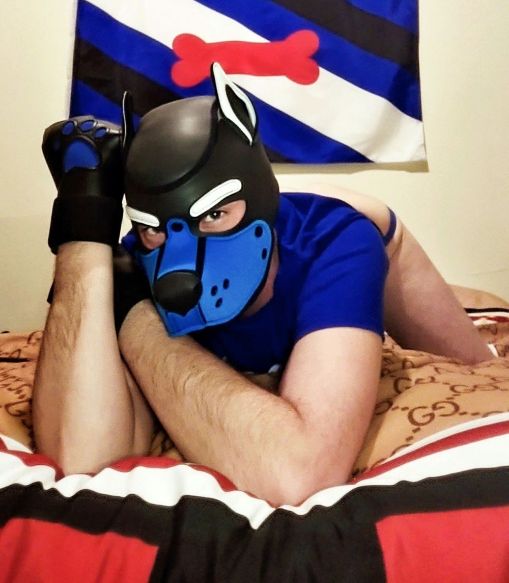 iampupchance OnlyFans profile picture