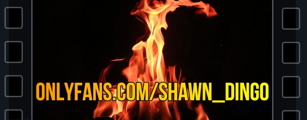 shawn_dingo OnlyFans profile picture