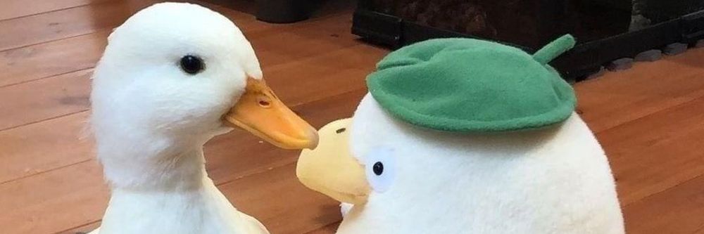 browniedecaju OnlyFans profile picture