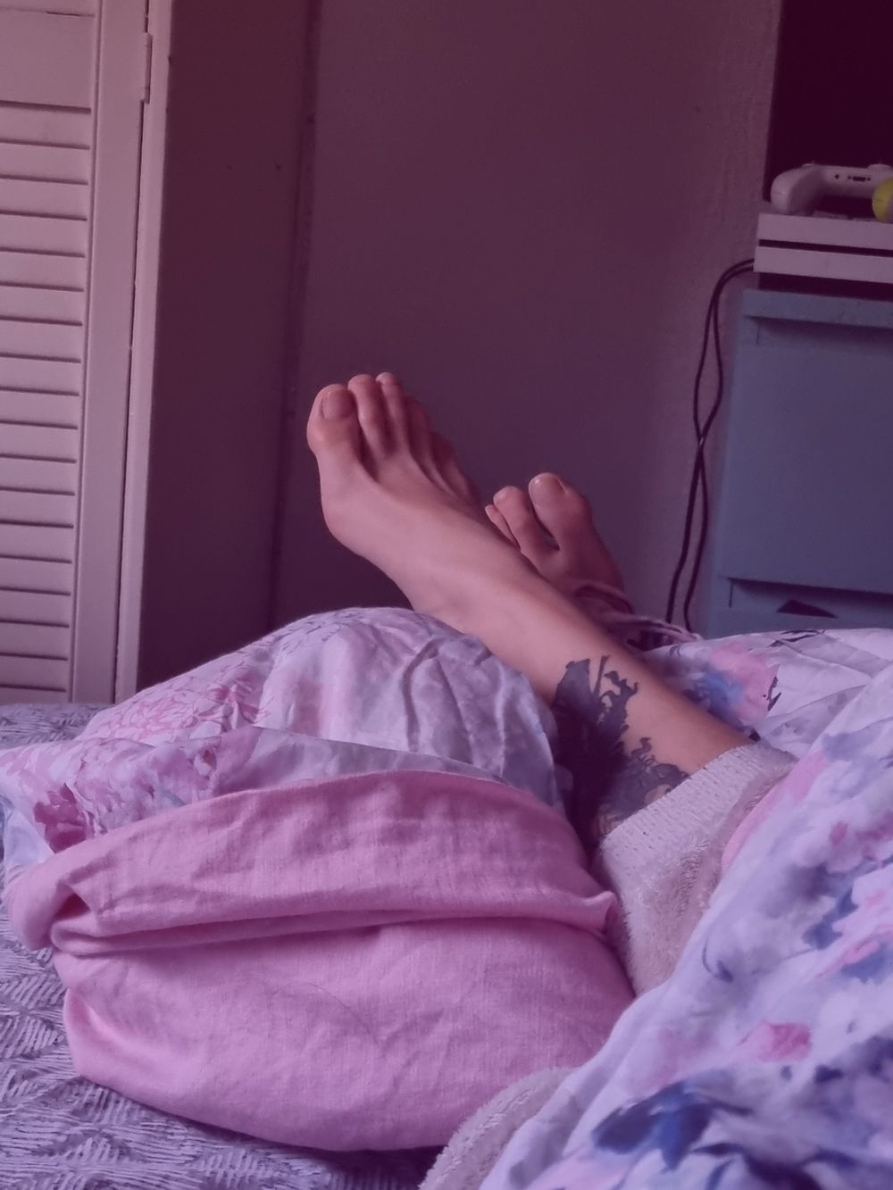 thislittlepiggiecamehere OnlyFans profile picture
