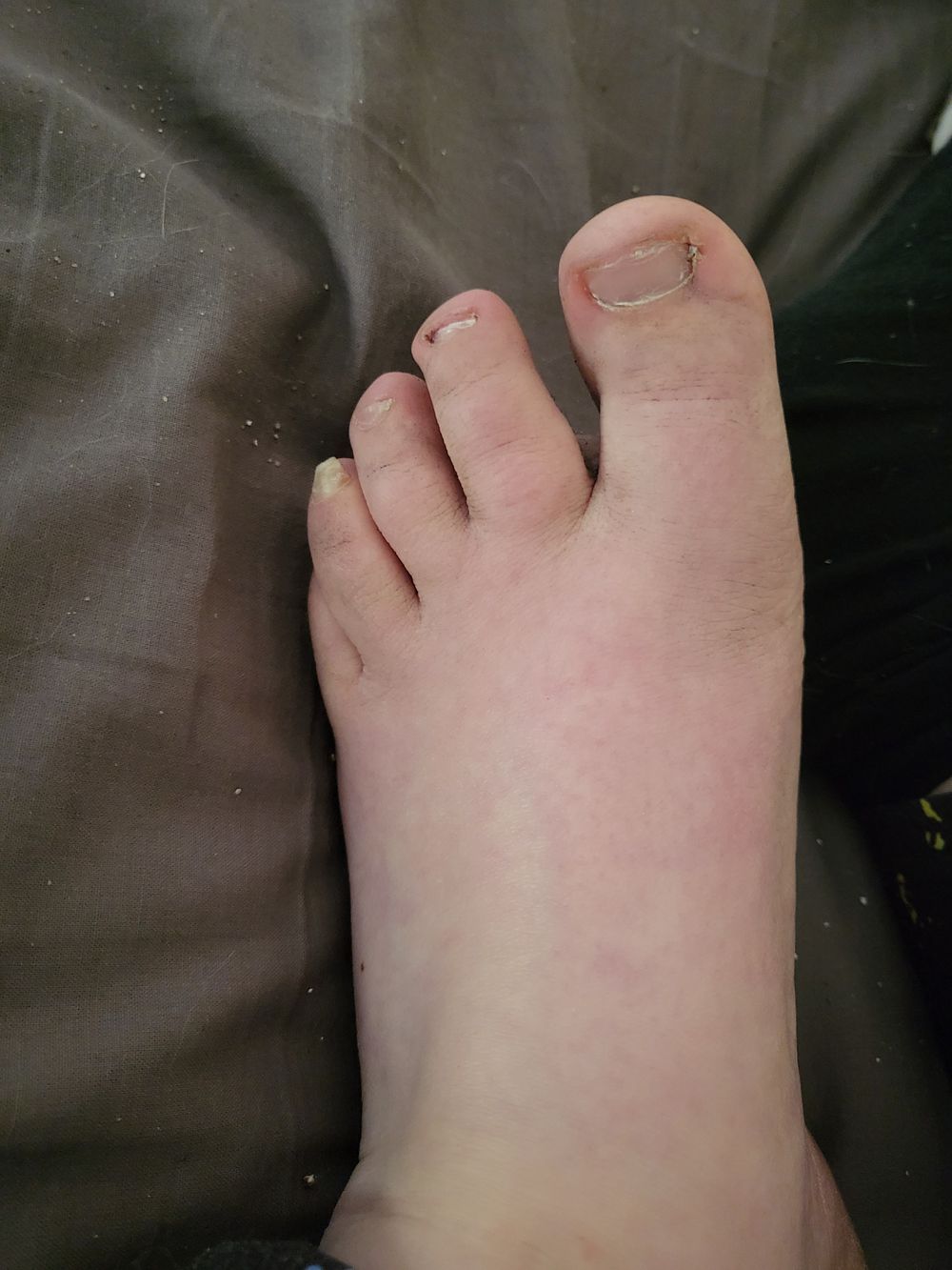 u423551429 OnlyFans profile picture