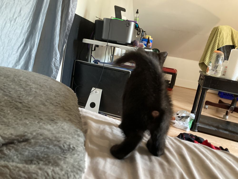 lucifur2021 OnlyFans profile picture