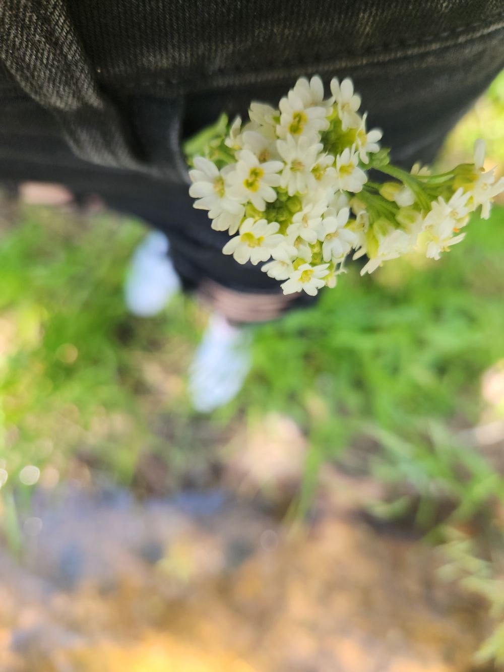 twiggyxo OnlyFans profile picture