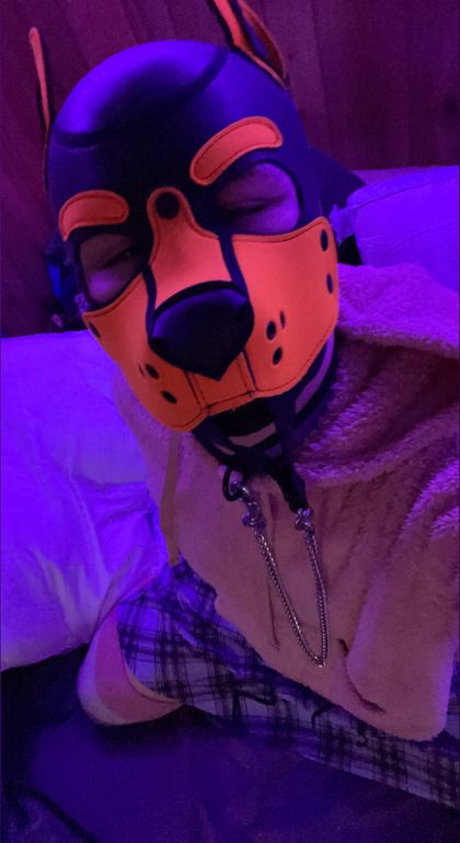 lovesickcanine OnlyFans picture
