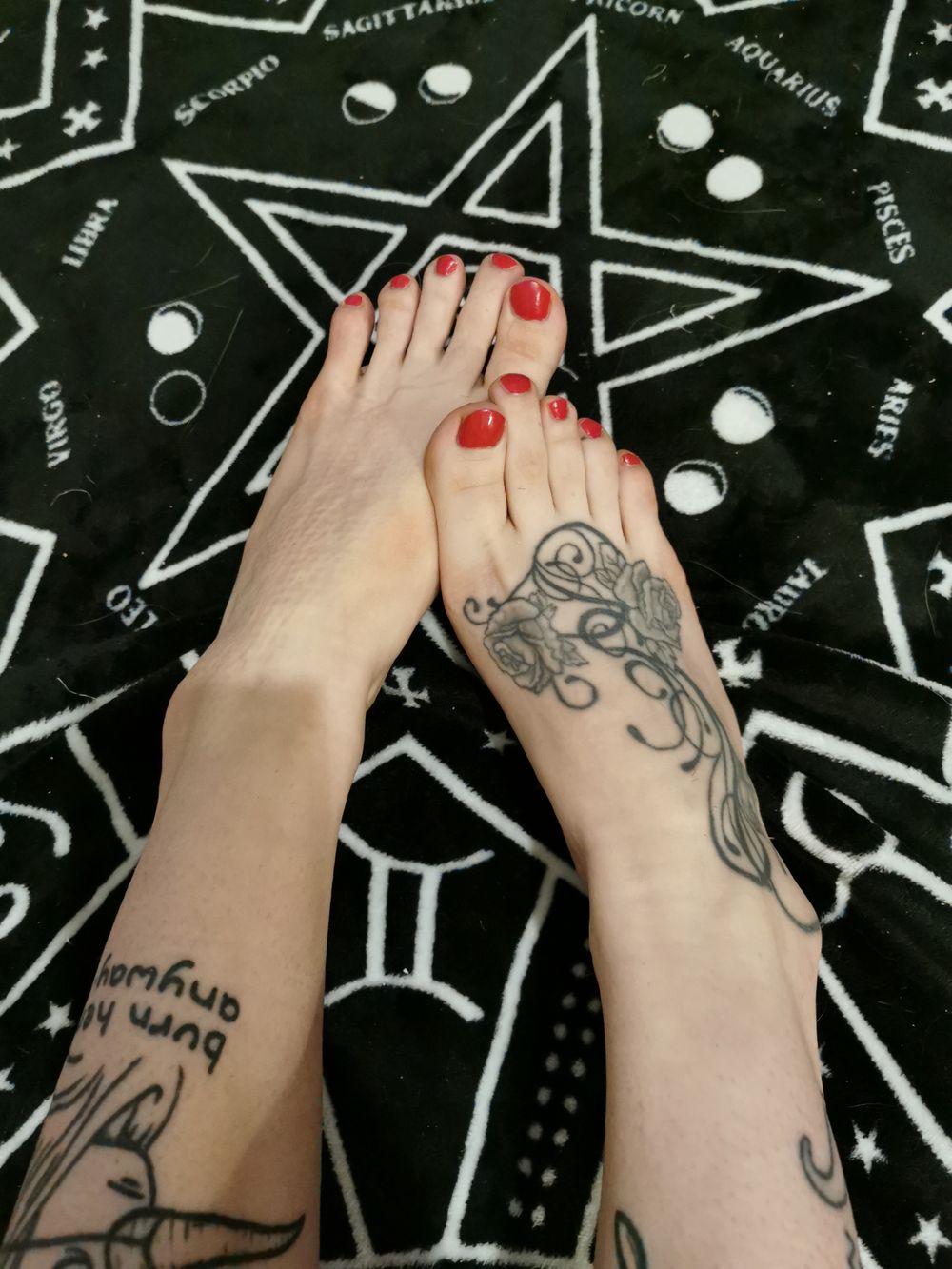 sh1tgoff OnlyFans profile picture