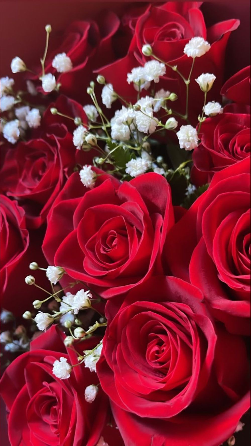 tscarlynuhlucia OnlyFans - Free Trial - Photos - Socials FansMetrics