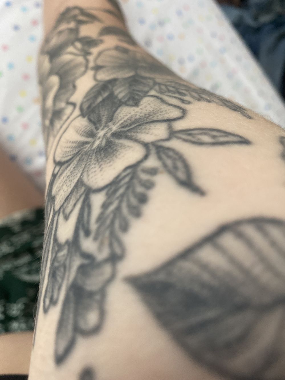 daisy_eyes OnlyFans profile picture